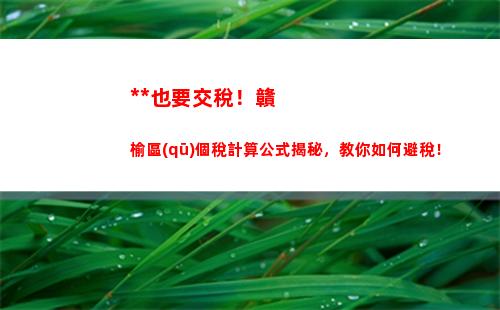 挑選最優(yōu)方案！個稅獎金計算工具幫你輕松抉擇