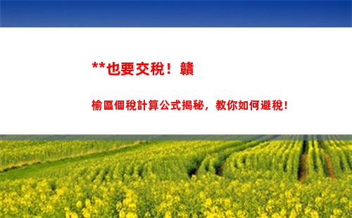 挑選最優方案！個稅獎金計算工具幫你輕松抉擇