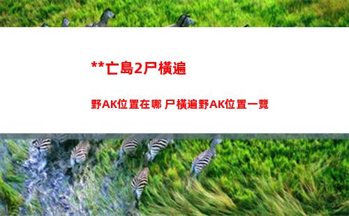 塞爾達傳說王國之淚龍之淚位置大全