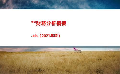 全套財務分析模板.xls（2021年版）(創業計劃書財務分析模板)
