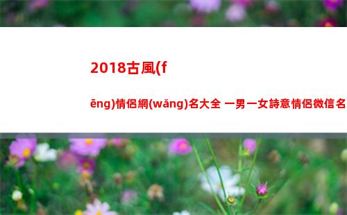 018古風(fēng)情侶網(wǎng)名大全