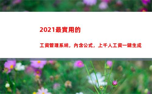 021最實用的工資管理系統，內含公式，上千人工資一鍵生成(2021最實用的手機)"