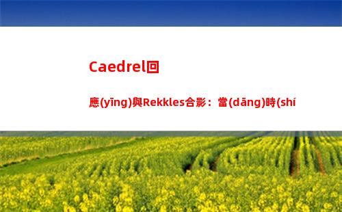 Caedrel回應(yīng)與Rekkles合影：當(dāng)時(shí)是幾周前，不關(guān)我事，祝福歐成~