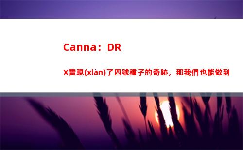 Canna：DRX實現(xiàn)了四號種子的奇跡，那我們也能做到插圖