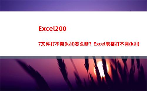 Excel2007文件打不開(kāi)怎么辦？Excel表格打不開(kāi)幾種現(xiàn)象及解決方法(excel2007版本怎么升級(jí)到最新版本)