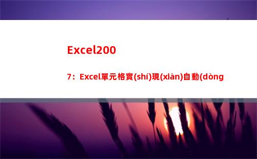 Excel2007：Excel單元格實(shí)現(xiàn)自動(dòng)換行的三種方法(excel2007)