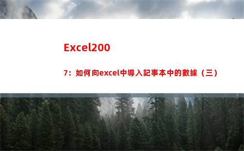 Excel2007：如何向excel中導入記事本中的數據（三）(excel2007怎么同時顯示兩個獨立窗口)
