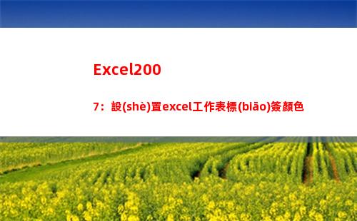 Excel2007：設(shè)置excel工作表標(biāo)簽顏色(excel2007行高怎么設(shè)置)