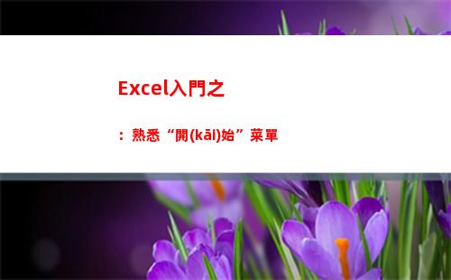 Excel入門之：熟悉“開(kāi)始”菜單(excel入門培訓(xùn))