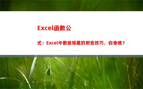 Excel函數公式：Excel中數據隱藏的那些技巧，你會嗎？(excel函數公式求和)