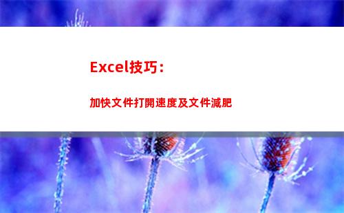 Excel技巧：加快文件打開速度及文件減肥(excel實(shí)用操作技巧總結(jié))