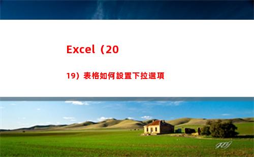 Excel（2019）表格如何設置下拉選項(excel2016)