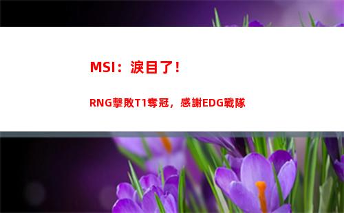 MSI：淚目了！RNG擊敗T1奪冠，感謝EDG戰隊插圖4