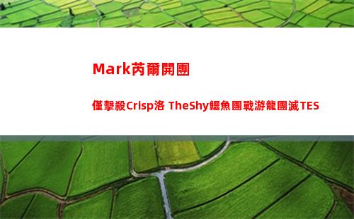 Mark芮爾開團僅擊殺Crisp洛 TheShy鱷魚團戰游龍團滅TES