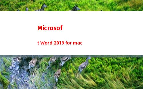 Microsoft Word 2019 for mac(microsoft teams)