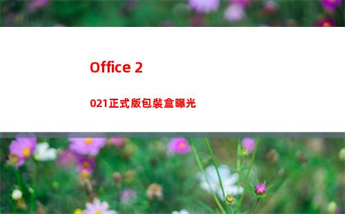 Office 2021正式版包裝盒曝光