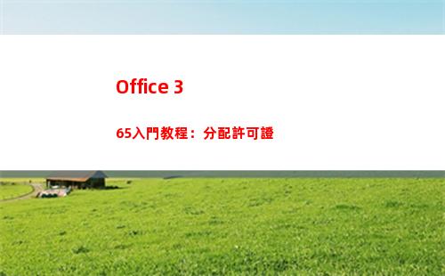 Office 365入門教程：分配許可證