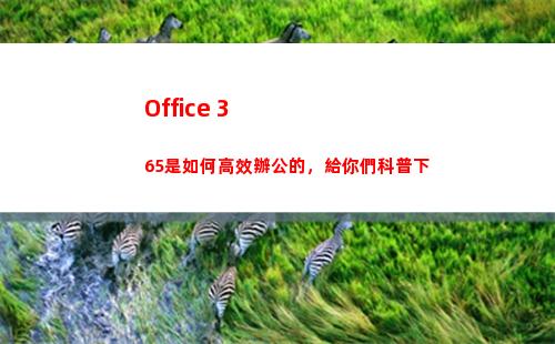 Office 365是如何高效辦公的，給你們科普下