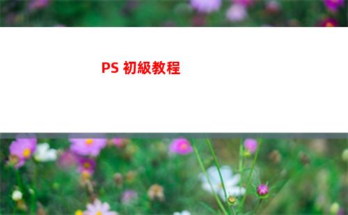 PS 初級教程