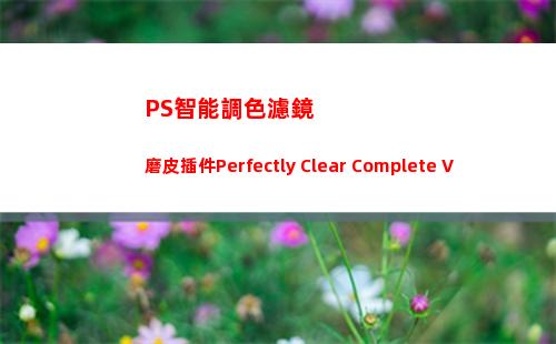 PS智能調色濾鏡磨皮插件Perfectly Clear Complete V3.12破解漢化版(ps怎么濾鏡調色)