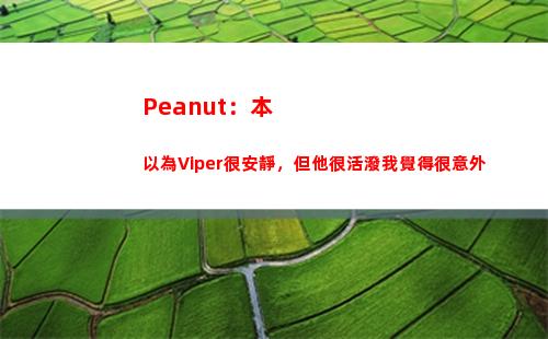 Peanut：本以為Viper很安靜，但他很活潑我覺得很意外