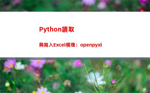 Python讀取與寫入Excel模塊：openpyxl(python讀取txt文件內容)