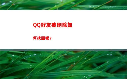 QQ好友被刪除如何找回呢？(qq好友刪除怎么恢復(fù)好友)