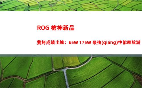 ROG 槍神新品雙烤成績出爐：65W+175W 最強(qiáng)性能釋放游戲本誕生