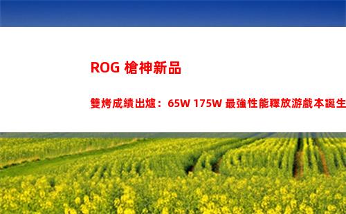 ROG 槍神新品雙烤成績出爐：65W+175W 最強性能釋放游戲本誕生