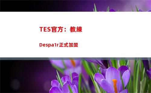 TES官方：教練Despa1r正式加盟