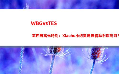 WBGvsTES 第四局高光時刻：Xiaohu小炮爽局無情點射壓制對手