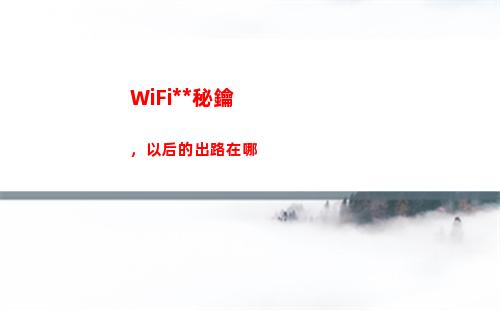 WiFi萬能秘鑰，以后的出路在哪(wifi萬能秘鑰測試的網(wǎng)速和網(wǎng)速管家測速不一樣)