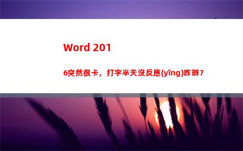 Word 2016突然很卡，打字半天沒反應(yīng)咋辦？
