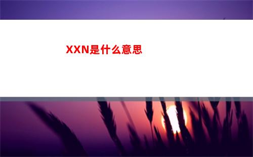 XXN是什么意思