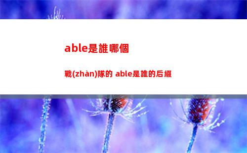 able是誰哪個戰(zhàn)隊的 able是誰的后綴