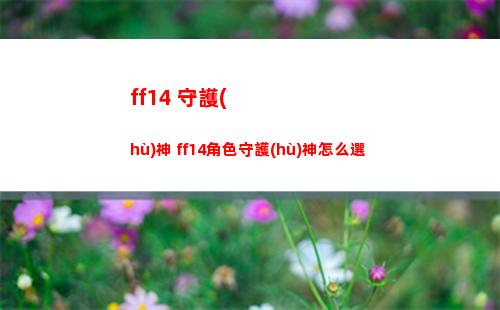 ff14 守護(hù)神 ff14角色守護(hù)神怎么選