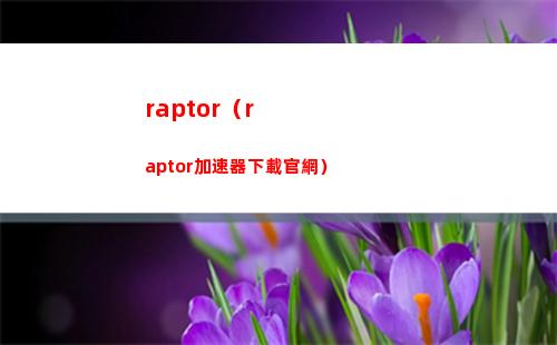 raptor（raptor加速器下載官網）