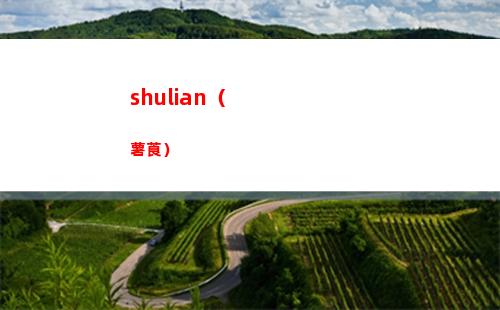 寶可夢朱紫攻擊努力值在哪刷最好