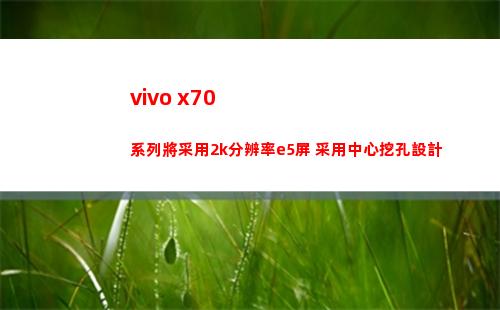 vivo x70系列將沿用2k辨別率e5屏 沿用重心挖孔安排