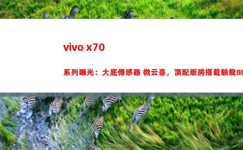 vivo x70系列暴光：大底傳感器+微云臺，頂配版將搭載驍龍888 plus