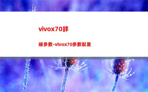 vivox70精細參數-vivox70參數擺設
