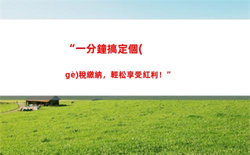 “一鍵查詢！企業(yè)開票個(gè)人所得稅報(bào)告，助你細(xì)算財(cái)務(wù)收益”