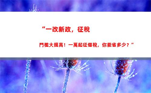 “掌握個稅繳納標準，輕松合理避稅省錢攻略！”