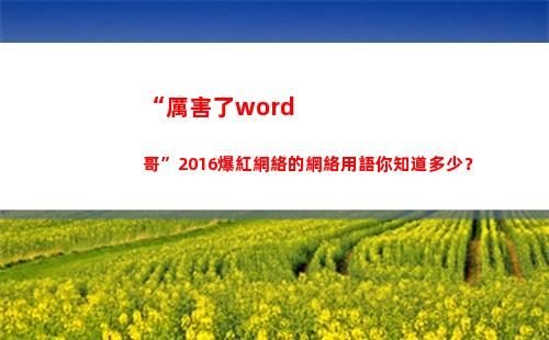 “厲害了word哥”2016爆紅網絡的網絡用語你知道多少？(厲害了word哥表情包)