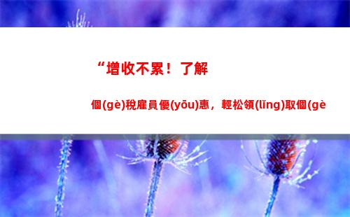 “延遲繳納，付出更高代價(jià)——個(gè)人所得稅逾期罰款揭秘！”