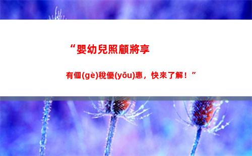 鋼材個(gè)人所得稅(鋼材個(gè)人所得稅是多少)