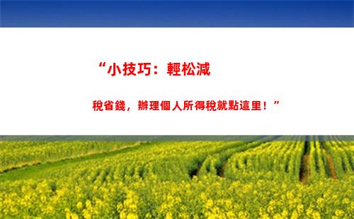 “一鍵查詢個稅退稅，輕松掌握財務情況！”