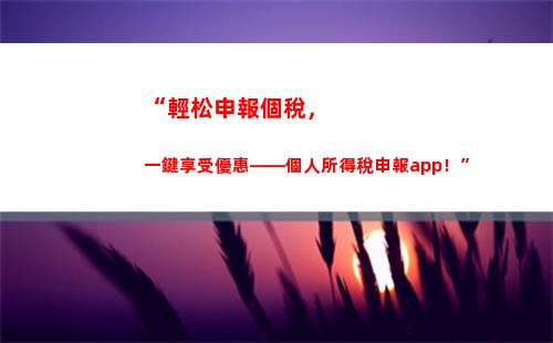 “輕松領取個稅優惠，享受更優質生活”
