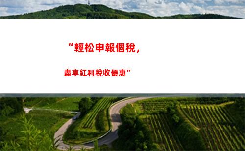 “輕松領取個人所得稅清單！快來查看你的稅收貢獻”