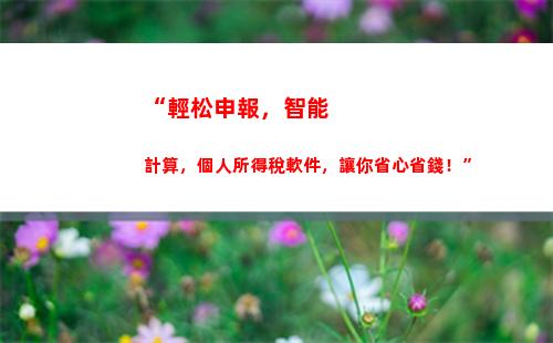 “輕松申報，享受減稅優惠！個人所得稅填報攻略來啦！”